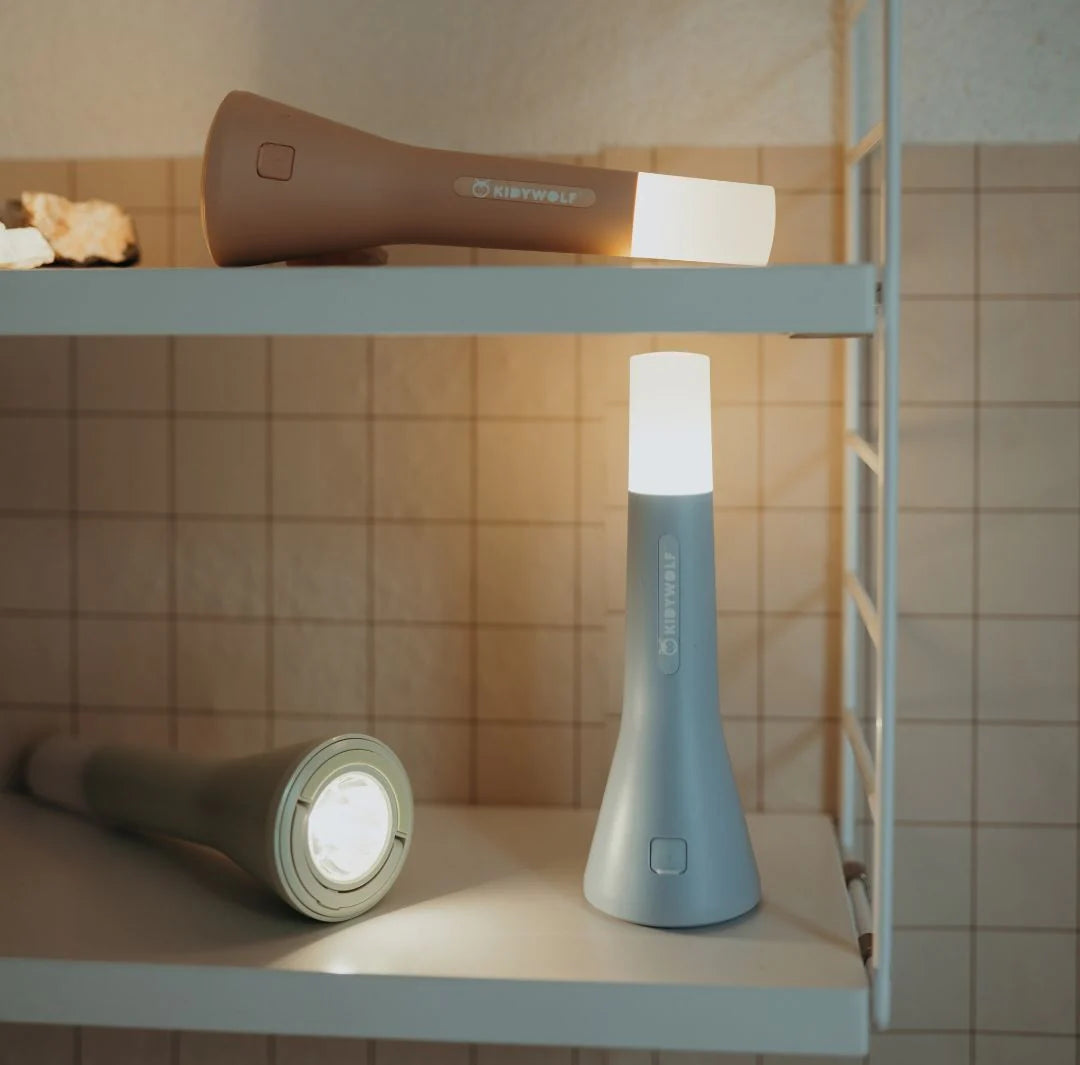 Kidyflashlight Intro 12 + 1 Demo 65%