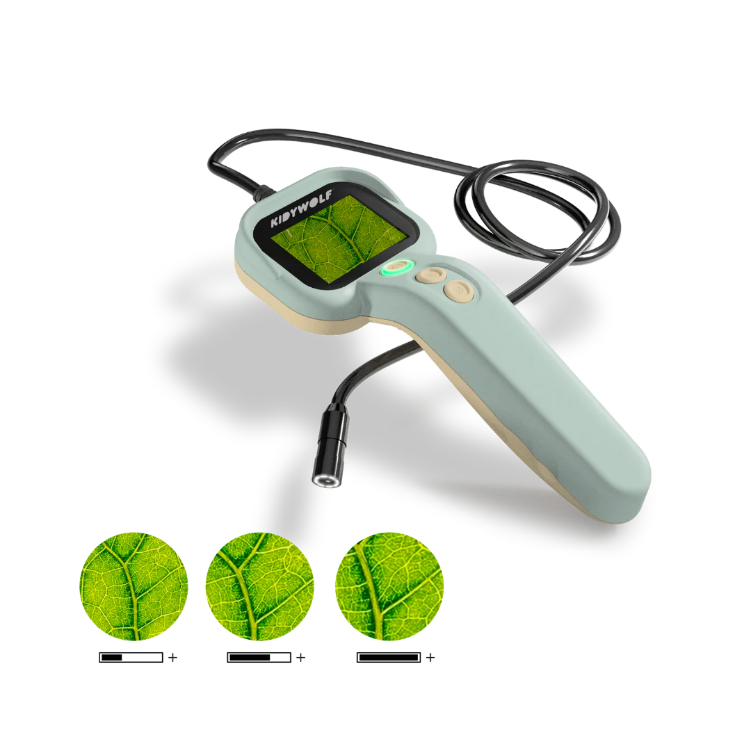 KidyExplore Starter Pack 4+1 Demo 25% off