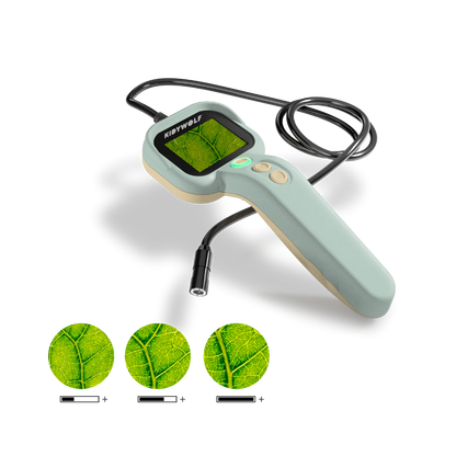KidyExplore Starter Pack 4+1 Demo 25% off
