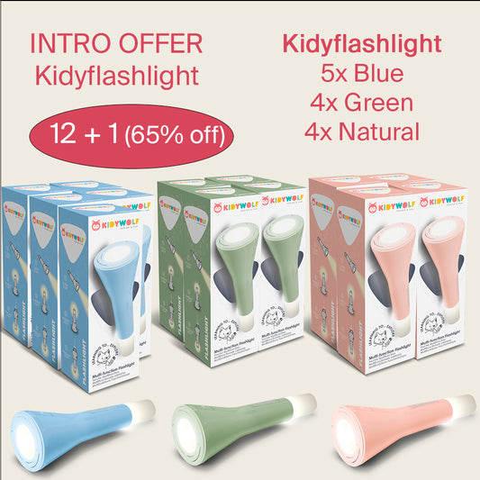 Kidyflashlight Intro 12 + 1 Demo 65%