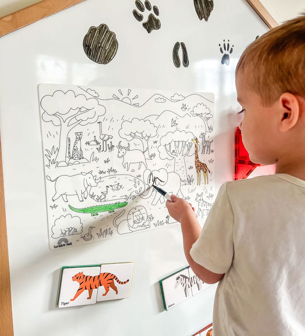 Going on Safari (includes 6 pens)